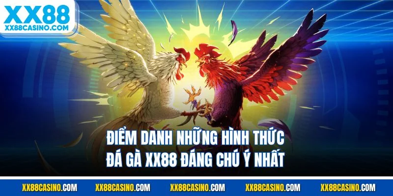Điểm danh những hình thức đá gà XX88 đáng chú ý nhất