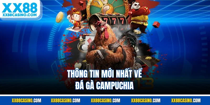Thông tin mới nhất về đá gà Campuchia